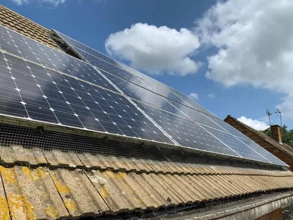 Завершена работа по защите солнечных батарей от птиц в Тонбридже, графство Кент.